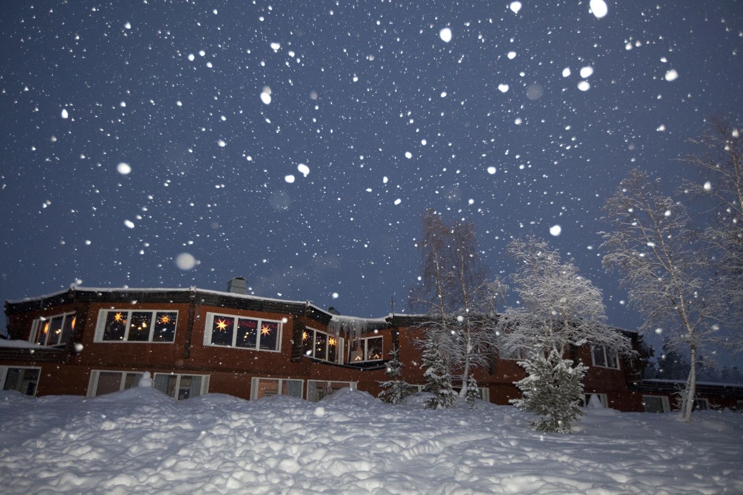 Get excited about Christmas with a visit to Santa in 2022 – Experience